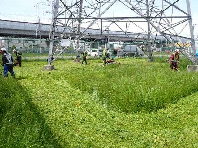 除草、集草作業状況