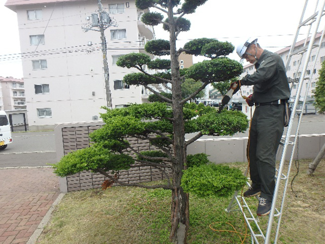 施工中