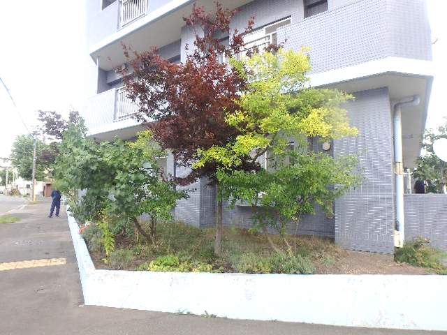 施工前