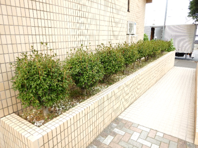 施工前