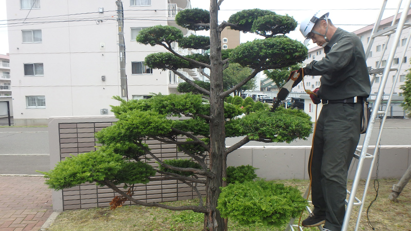 造園緑化管理